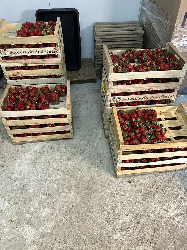 Cagettes de fraises empilées